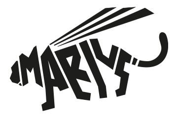 Logo-Game-Design-Markus